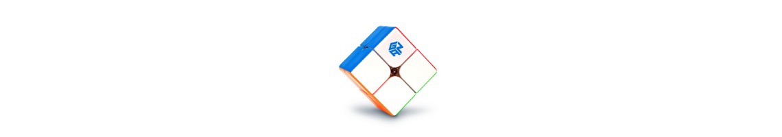 GAN249 V2